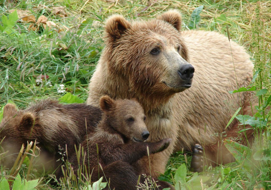 Pindos National Park | protothemanews.com