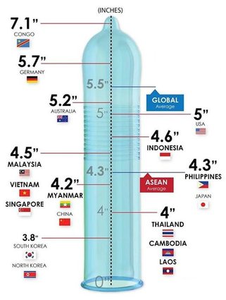 Avarage Size Of A Penis 59