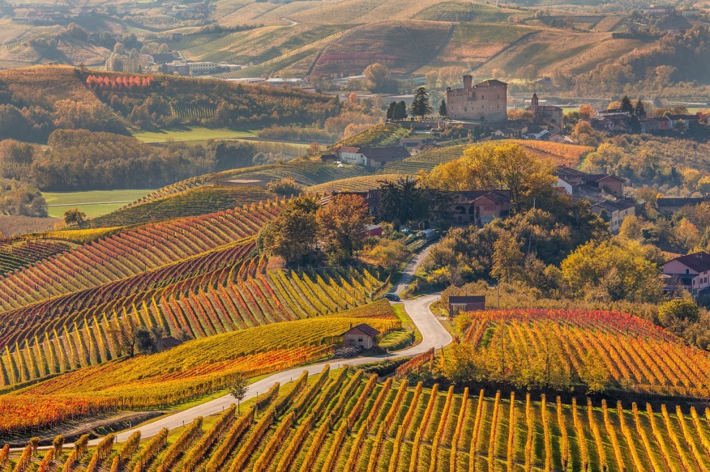 piedmont-vinyards-italy-best-wine-destinations-in-europe