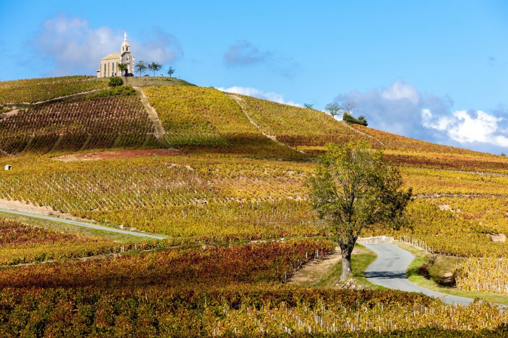 rhone-valley-beaujolais-vineyards-france-best-wine-destinations-in-europe
