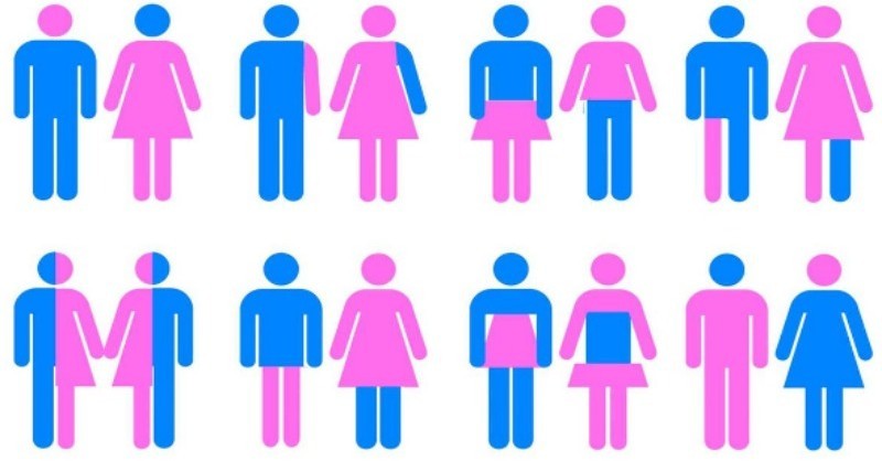 The Full List Of Genders In Lgbtq
