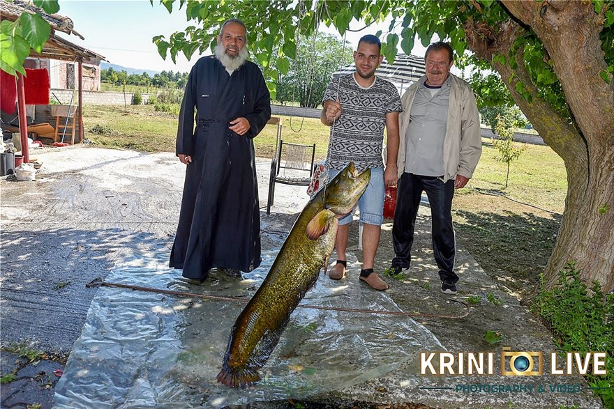 Priest and son catch “monster” 35kg catfish (photos)