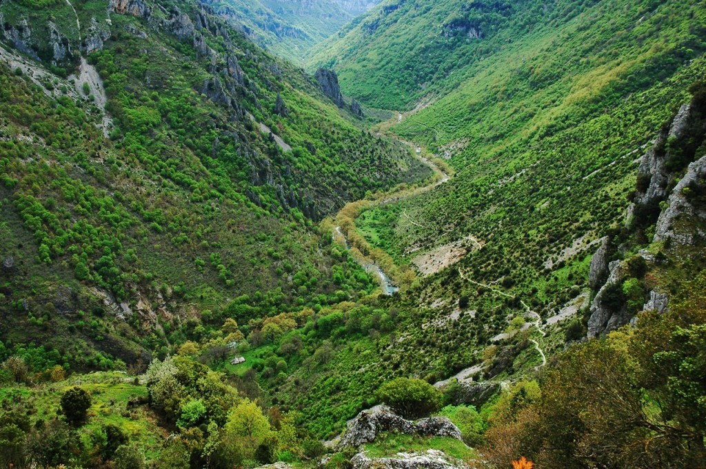 vikos