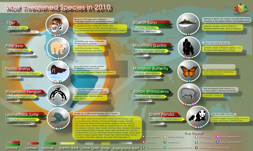 2010s-most-threatened-animal-species_50290a6321ab2
