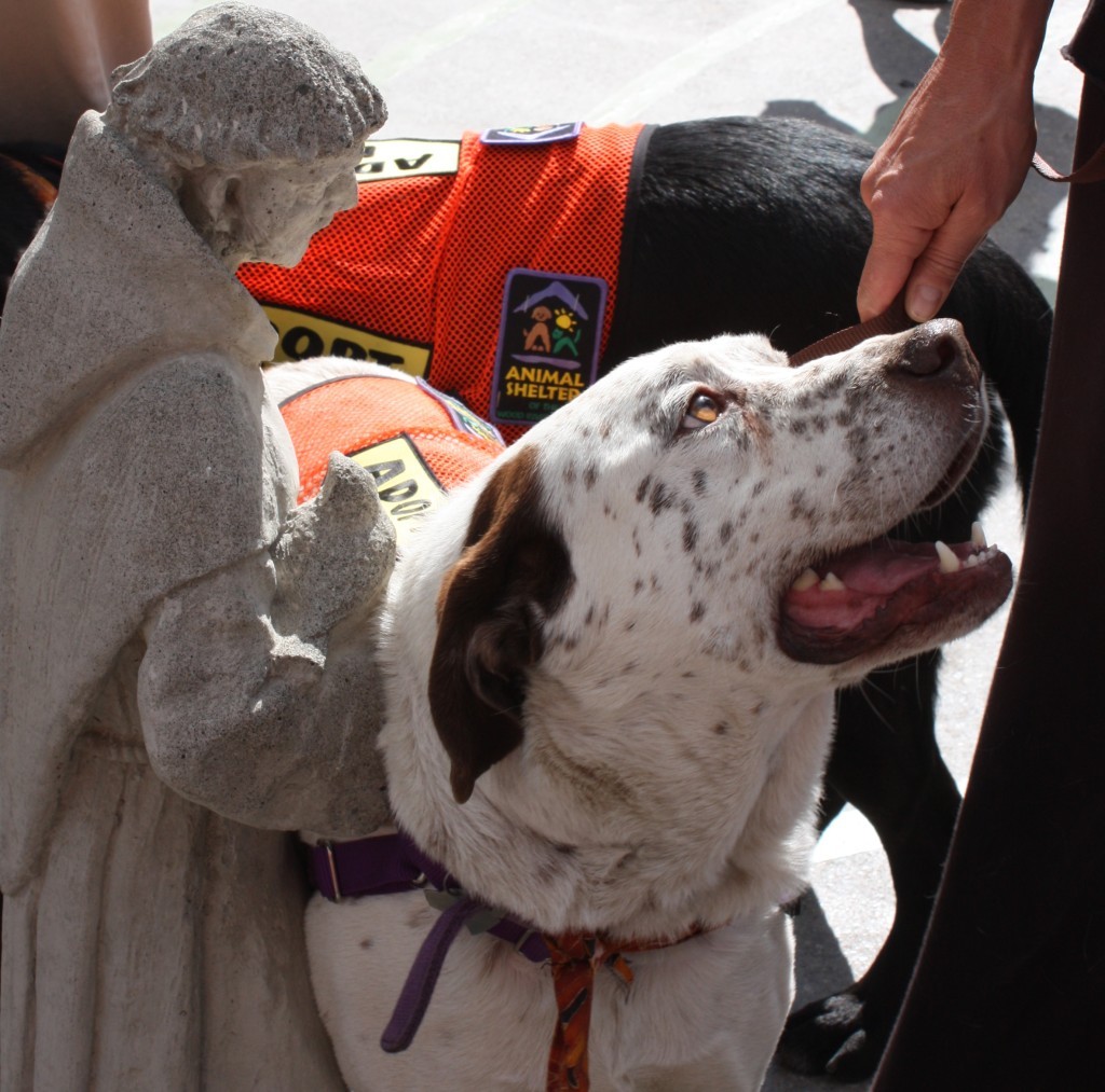 2011-Blessing-Murphy-with-St.-Francis-2