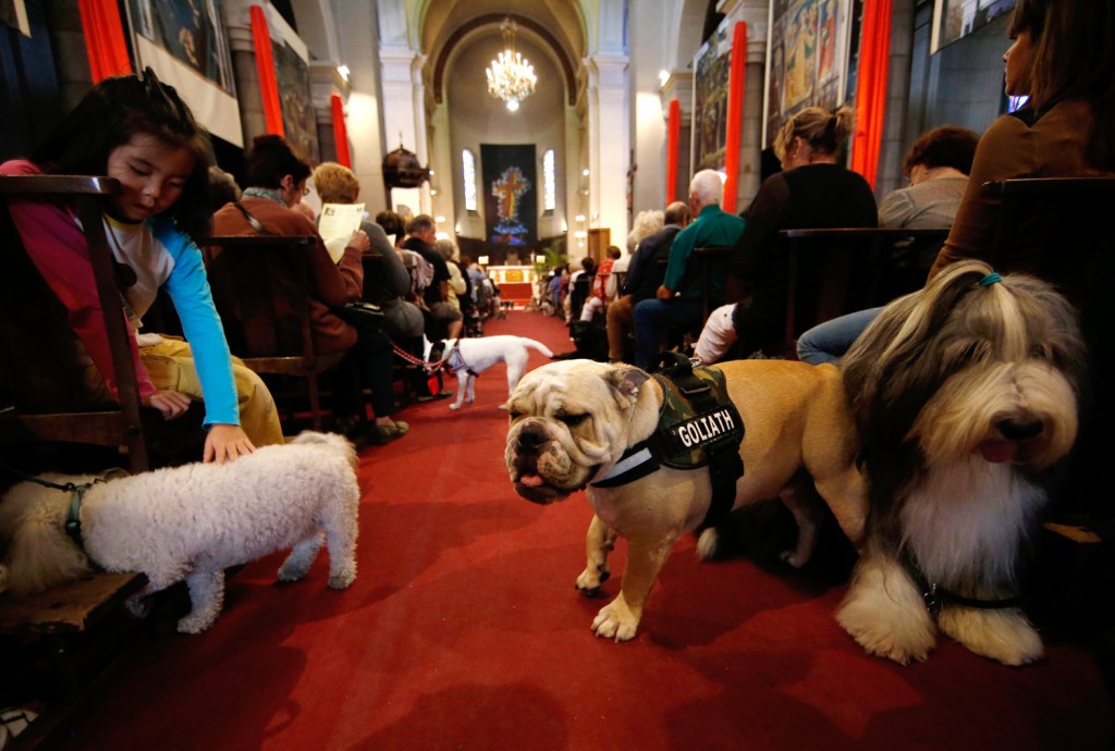 Image: Owners and their pets attend a mass at the Saint Pierre D'Arene church to honour the feast of Saint Francis of Assisi in Nice