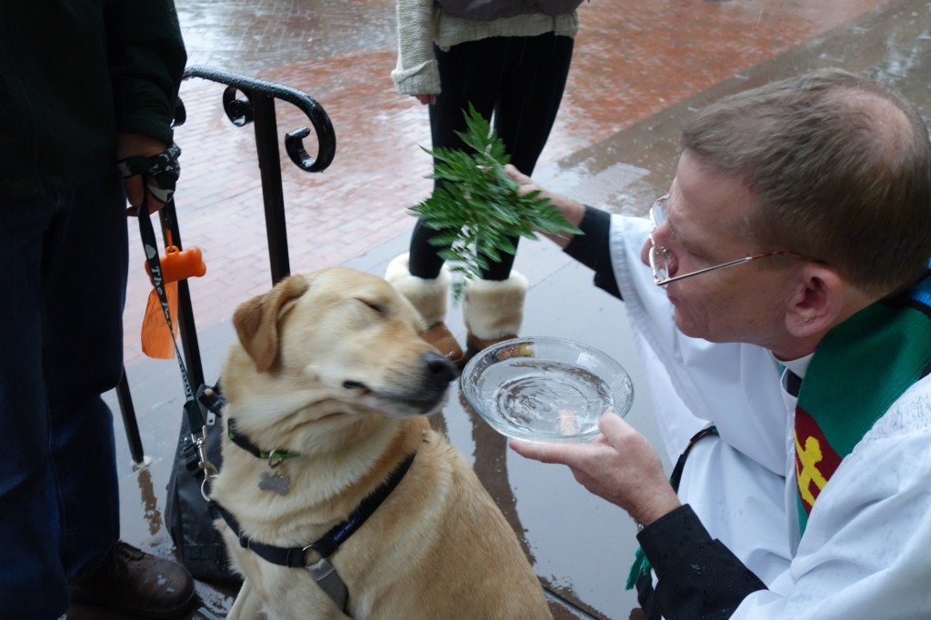 WOR_10_2013_StFrancis_BillRich_Blesses_Golden_Lab