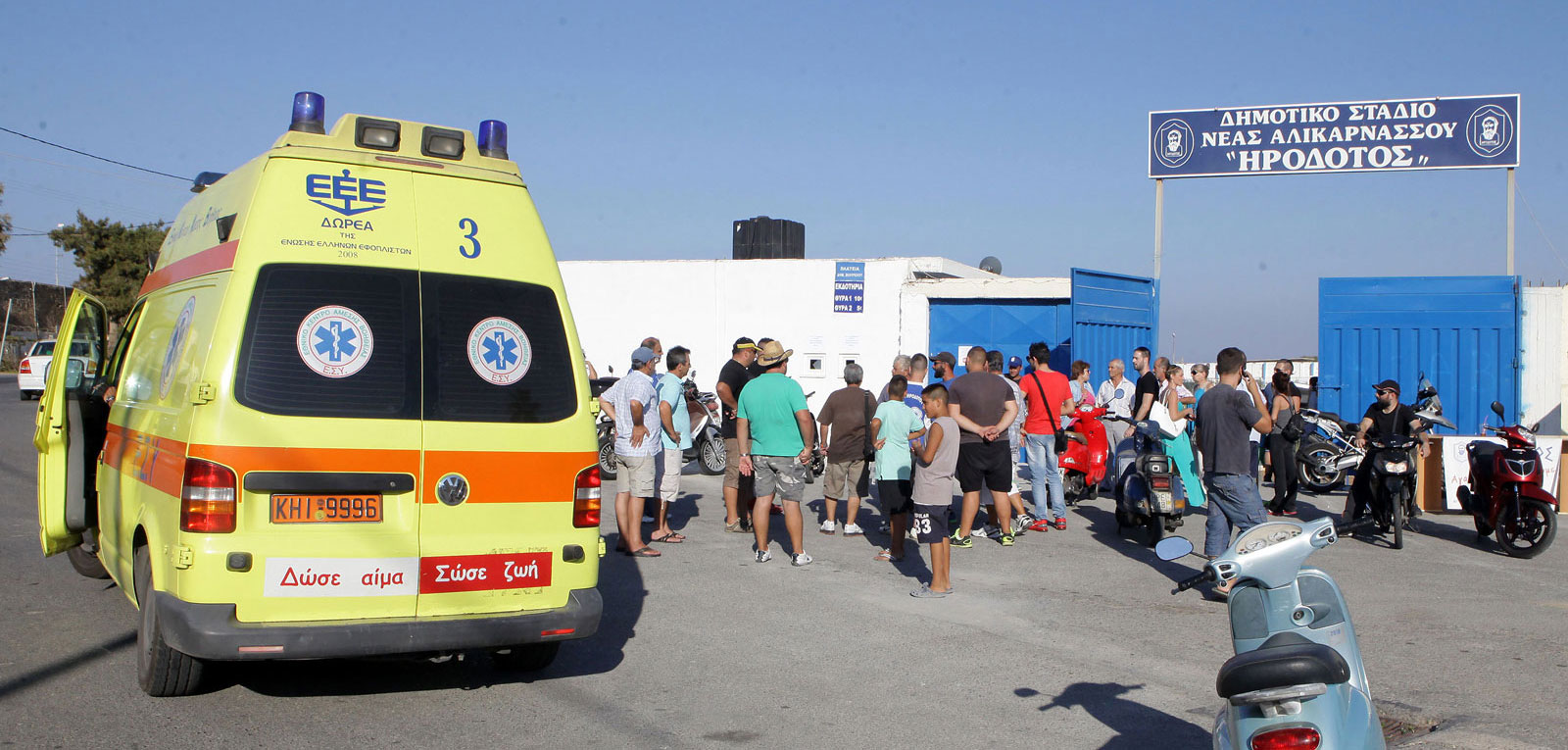 pegasus_LARGE_t_1041_106359154