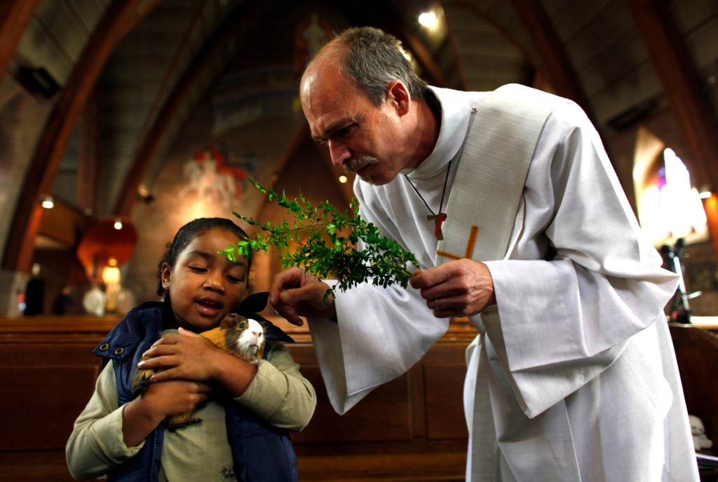 Image: A deacon blesses a guinea pig in the Holy Heart church in Schiedam