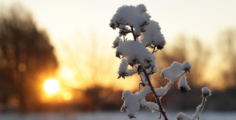 Friday: Sun Shines Through The Snow But Schools Shut 