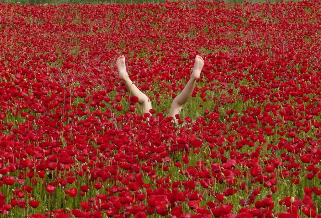 The May Day getaway... 24 funfilled hours (photos) ProtoThema English