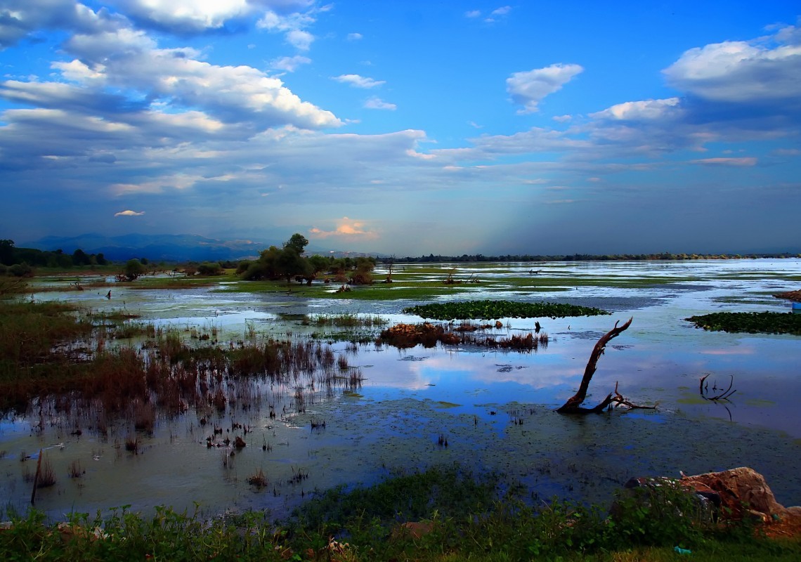 Lake Kerkini, a beautiful artificial reservoir | protothemanews.com