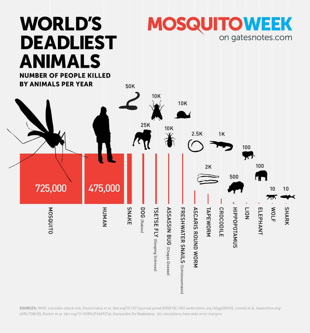 animals that kill most humnans infographic