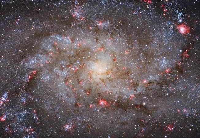 g06_mvd_652x450