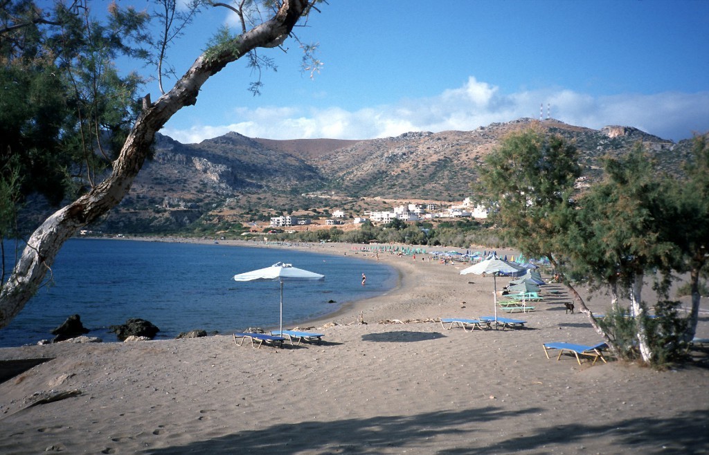 palaioxora.jpg.pagespeed.ce.icK0isJq9A