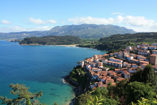 viveiro.jpg.pagespeed.ce.XbFTt3lHvz