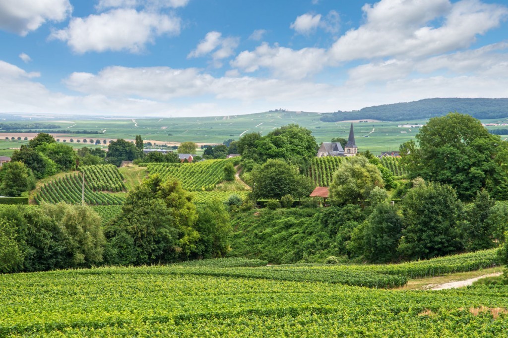 champagne-vineyard-france-best-wine-destinations-in-europe