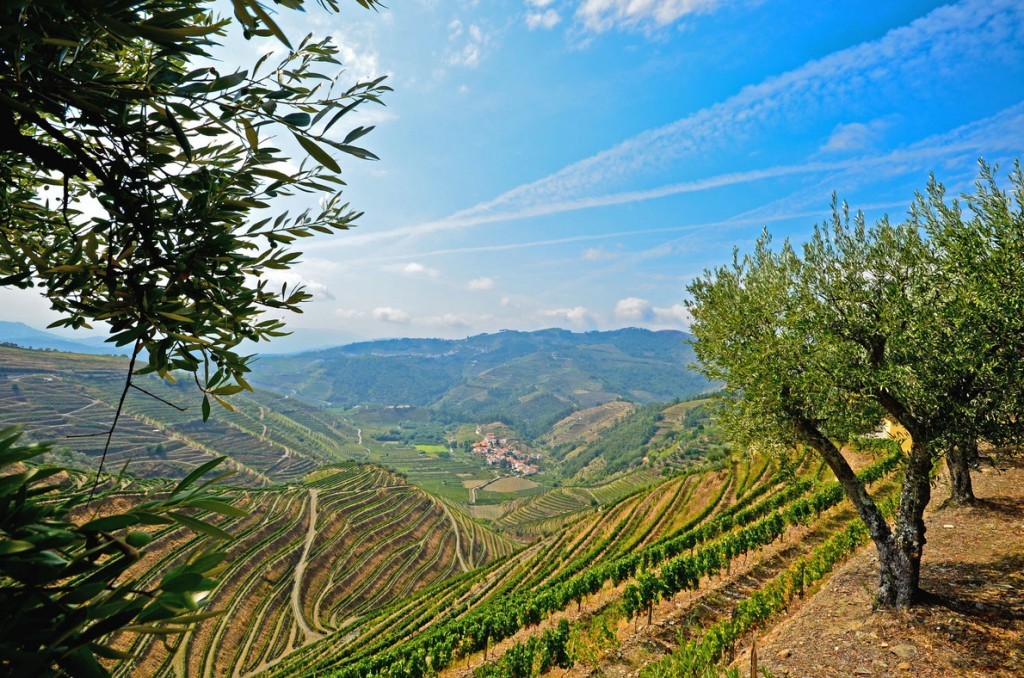 douro-valley-vineyard-portugal-best-wine-destinations-in-europe