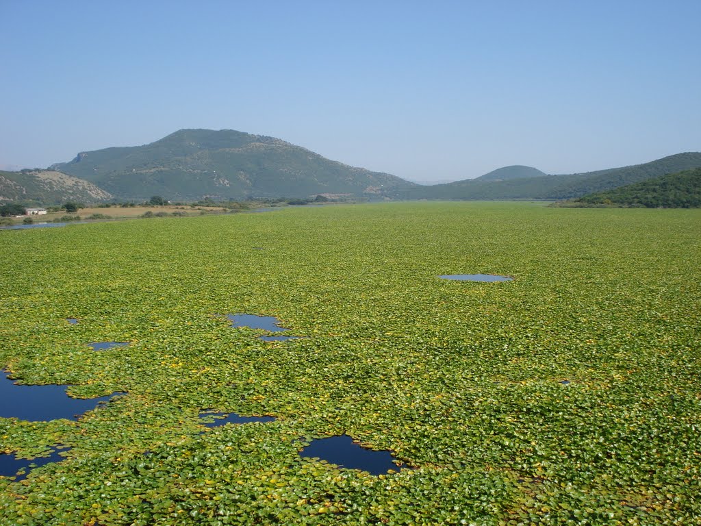 Wetland Of Kalodiki ProtoThema English Wetland Of Kalodiki ProtoThema English