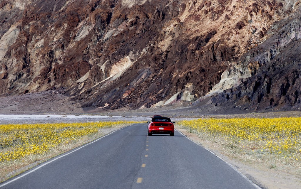 la-tr-super-bloom-death-valley-20160306-003