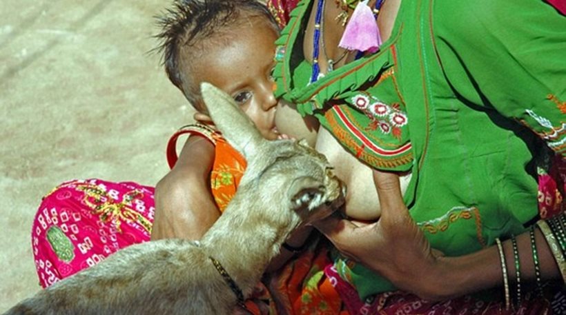 Girl Breastfeeding Puppy