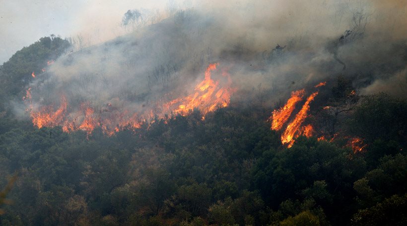 Forest fire raging in Boeotia | protothemanews.com