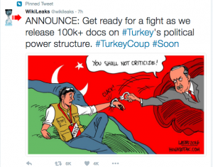 wiki-turkey2