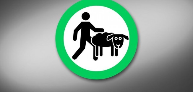 These Countries Are Into Sex With Animals photos Protothemanews
