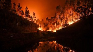 A wildfire is reflected in a stream at Penela, Coimbra, central Portugal, on June 18, 2017.  A wildfire in central Portugal killed at least 25 people and injured 16 others, most of them burning to death in their cars, the government said on June 18, 2017. Several hundred firefighters and 160 vehicles were dispatched late on June 17 to tackle the blaze, which broke out in the afternoon in the municipality of Pedrogao Grande before spreading fast across several fronts.  / AFP PHOTO / PATRICIA DE MELO MOREIRA        (Photo credit should read PATRICIA DE MELO MOREIRA/AFP/Getty Images)
