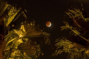 epa06488257 View of the super blue blood moon in total lunar eclipse in Bangkok, Thailand, 31 January 2018. A Blue Moon, a total lunar eclipse and a supermoon coincide to create a rare lunar event that hasn't been seen in more than 150 years. This lunar event, called a 'Super Blue Blood Moon' features the second full moon of the month, also known as a Blue Moon, as well as a total lunar eclipse, which is often referred to as a 'blood moon' because the moon turns a reddish color when it passes through Earth's shadow.  EPA/DIEGO AZUBEL