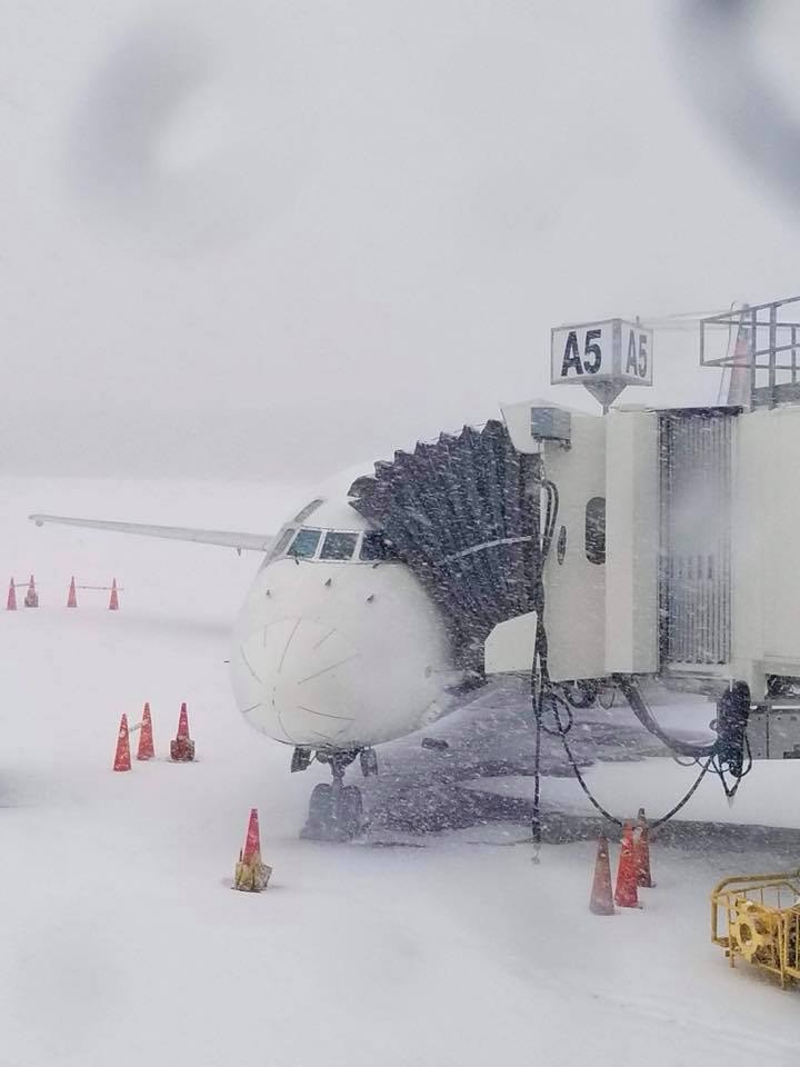 Captivating Sia, Other Asian Airlines Cancel Several New York Flights Due To Snowstorm Design Photography Captivating Sia, Other Asian Airlines Cancel Several New York Flights Due To Snowstorm Design Photography