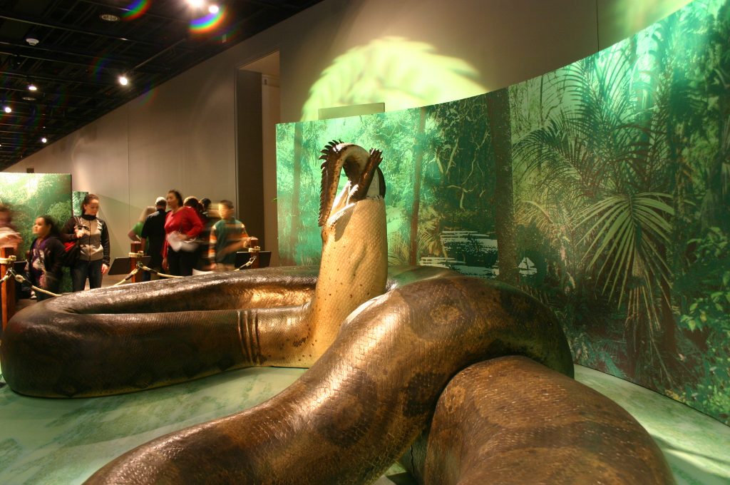 titanoboa - ProtoThema English