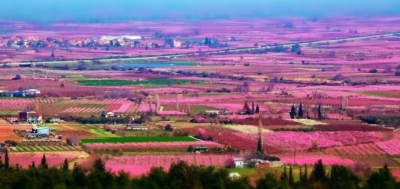 Spring in Greece, Imathia - ProtoThema English