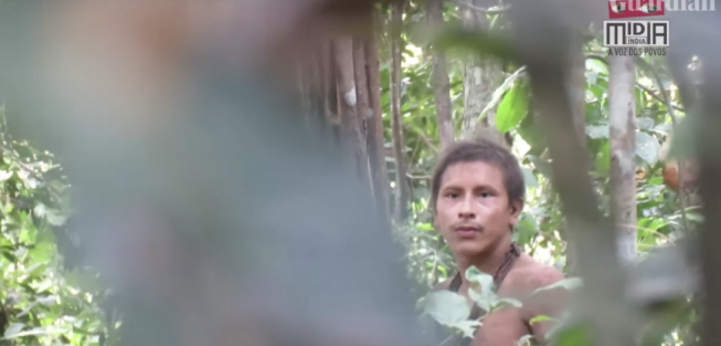 New Footage Shows Uncontacted Amazon Tribesman From The World S “most Threatened” Tribe