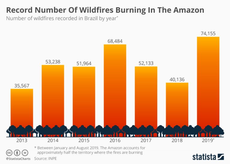 Record number of wildfires burning in the Amazon rainforest