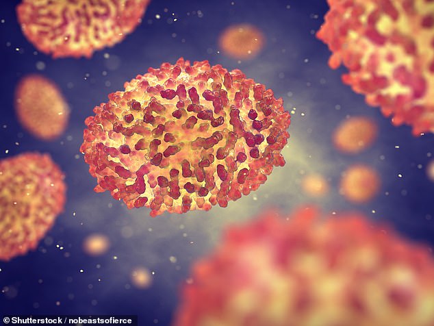 Gas explosion rips through Russian laboratory containing smallpox ...
