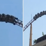 Terrifying moment: Dozens of tourists are left “hanging upside down on ...