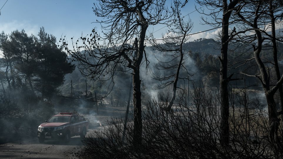 Why 55,000 acres of forest have turned to ashes in Corinth - ProtoThema ...