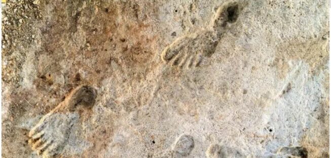 23,000-Year-Old Human Footprints Discovered In New Mexico ...