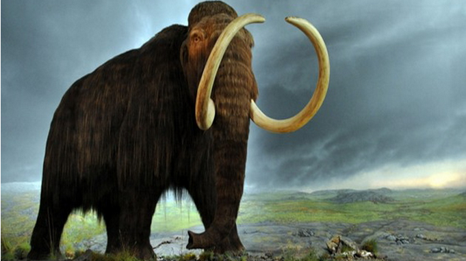 What you need to know about Mammoth de-extinction | protothemanews.com