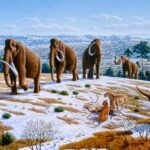 Unknown lineage of ice age Europeans discovered in genetic study ...