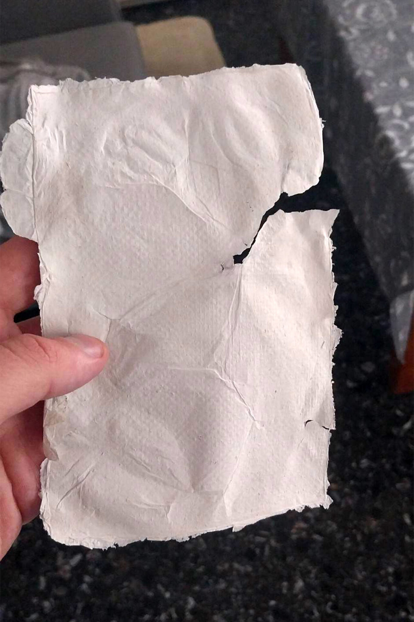 Greek scientists created paper from bacteria (photos) - ProtoThema English