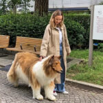 Okman Who Spent To Transform Himself Into Collie Steps Out For First Ever Walk In Public