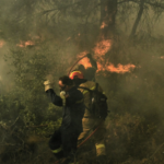Fire in a forest area in Laconia – Firefighting forces reinforced