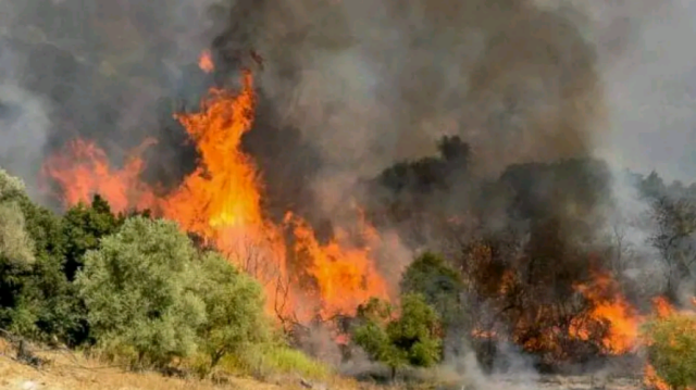 Very high fire risk on Saturday in Crete and the North & South Aegean ...