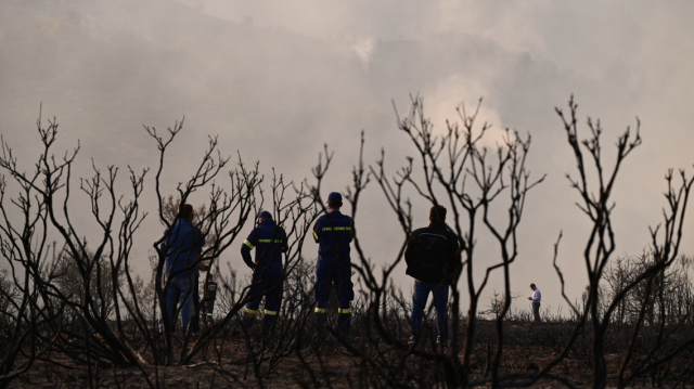 The fire in Xylokastro in Corinth - Strong firefighting forces remain ...