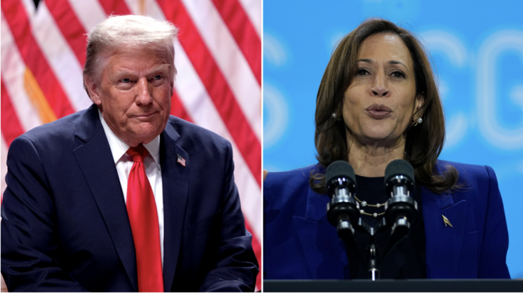 HOW MANY AMERICANS VOTED IN 2024 visual data 6