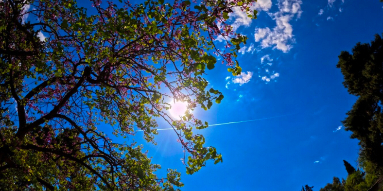 Weekend weather outlook: Temperatures climb higher, clear skies across ...