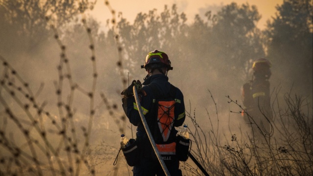 Strong winds, high temperatures, and very high fire risk in multiple ...