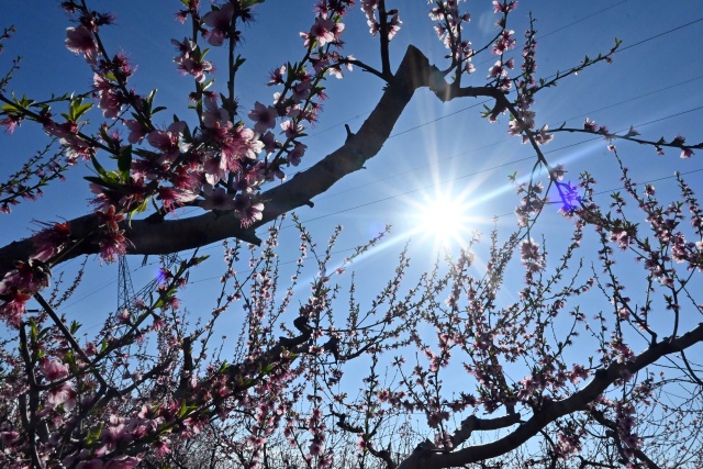 Spring weather sets the tone for Holy Week, with changes expected toward Easter